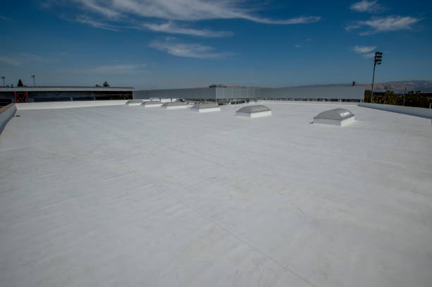 Best Commercial Roofing Services  in Wallis, TX