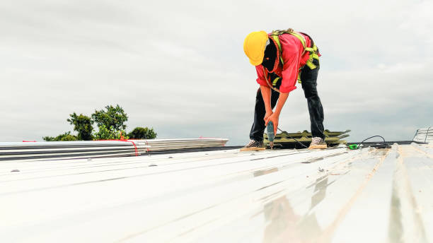 Best Roof Installation  in Wallis, TX