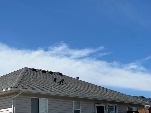 Best Rubber Roofing (EPDM, TPO)  in Wallis, TX